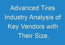 Advanced Tires Industry Analysis of Key Vendors with Their Size, Share and Year-Over-Year Growth 2031
