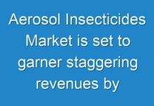 Aerosol Insecticides Market is set to garner staggering revenues by 2031