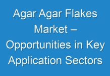 Agar Agar Flakes Market – Opportunities in Key Application Sectors by 2029