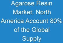 Agarose Resin Market: North America Account 80% of the Global Supply Forecast 2024 to 2030