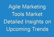 Agile Marketing Tools Market Detailed Insights on Upcoming Trends 2024 – 2030