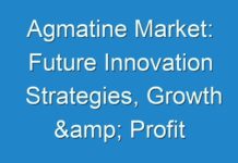 Agmatine Market: Future Innovation Strategies, Growth & Profit Analysis, Forecast by 2029
