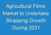 Agricultural Films Market to Undertake Strapping Growth During 2031