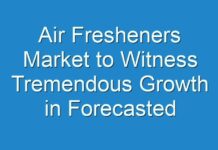 Air Fresheners Market to Witness Tremendous Growth in Forecasted Period 2024-2026