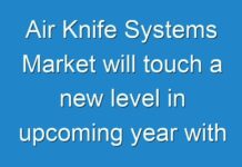 Air Knife Systems Market will touch a new level in upcoming year with Top Key PlayersRaico Engineers, Air Control Industries Ltd