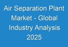 Air Separation Plant Market – Global Industry Analysis 2025