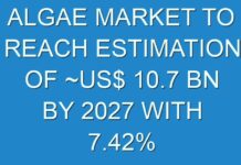 ALGAE MARKET TO REACH ESTIMATION OF ~US$ 10.7 BN BY 2027 WITH 7.42% CAGR
