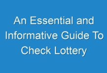 An Essential and Informative Guide To Check Lottery