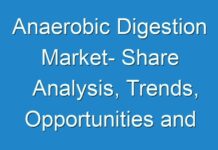 Anaerobic Digestion Market- Share Analysis, Trends, Opportunities and Global Forecast to 2025