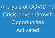 Analysis of COVID-19 Crisis-driven Growth Opportunities Activated Alumina Market