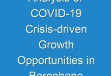 Analysis of COVID-19 Crisis-driven Growth Opportunities in Borophene Market