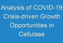 Analysis of COVID-19 Crisis-driven Growth Opportunities in Cellulase Market