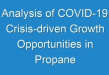 Analysis of COVID-19 Crisis-driven Growth Opportunities in Propane Market