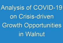 Analysis of COVID-19 on Crisis-driven Growth Opportunities in Walnut Market