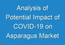Analysis of Potential Impact of COVID-19 on Asparagus Market