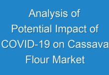 Analysis of Potential Impact of COVID-19 on Cassava Flour Market