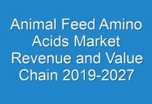 Animal Feed Amino Acids Market Revenue and Value Chain 2019-2027