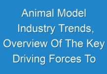 Animal Model Industry Trends, Overview Of The Key Driving Forces To Create Positive Impact On The Growth