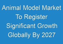 Animal Model Market To Register Significant Growth Globally By 2027