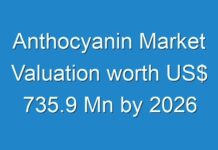 Anthocyanin Market Valuation worth US$ 735.9 Mn by 2026