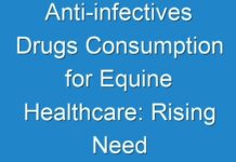 Anti-infectives Drugs Consumption for Equine Healthcare: Rising Need in Healthcare