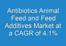 Antibiotics Animal Feed and Feed Additives Market at a CAGR of 4.1% from 2018 to 2026