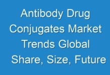 Antibody Drug Conjugates Market Trends Global Share, Size, Future Demand, Global Research, Top Leading Players, Emerging Trends, Region by Forecast to 2030
