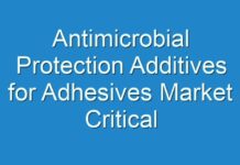 Antimicrobial Protection Additives for Adhesives Market Critical Insights, Trends, Worldwide Outlook & Forecast Till 2031