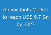 Antioxidants Market to reach US$ 5.7 Bn by 2027