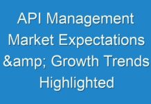 API Management Market Expectations & Growth Trends Highlighted Until 2024