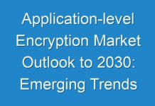 Application-level Encryption Market Outlook to 2030: Emerging Trends And Will Generate New Growth Opportunities Status