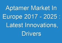Aptamer Market In Europe 2017 – 2025 : Latest Innovations, Drivers And Industry Key Events