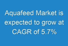Aquafeed Market is expected to grow at CAGR of 5.7%