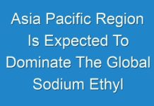 Asia Pacific Region Is Expected To Dominate The Global Sodium Ethyl P-Hydroxybenzoate Market 2018-2028