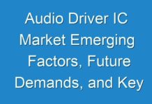 Audio Driver IC Market Emerging Factors, Future Demands, and Key Players 2024