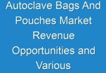 Autoclave Bags And Pouches Market Revenue Opportunities and Various Manufacture Development Analysis from (2024 – 2030)