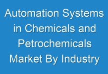 Automation Systems in Chemicals and Petrochemicals Market By Industry Sales, Progression Status, Emerging Demands, On Going Trends, Business Opportunity, Share and Forecast To 2030
