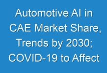 Automotive AI in CAE Market Share, Trends by 2030; COVID-19 to Affect Future Growth Trajectory