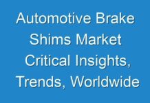 Automotive Brake Shims Market Critical Insights, Trends, Worldwide Outlook & Forecast Till 2031