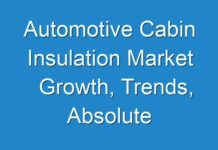 Automotive Cabin Insulation Market Growth, Trends, Absolute Opportunity and Value Chain 2018-2026