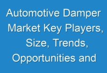Automotive Damper Market Key Players, Size, Trends, Opportunities and growth Analysis