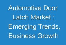 Automotive Door Latch Market : Emerging Trends, Business Growth Opportunities, Major Driving Factors 2027