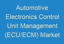 Automotive Electronics Control Unit Management (ECU/ECM) Market Witness Highest Growth In Near Future