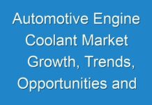Automotive Engine Coolant Market Growth, Trends, Opportunities and Forecast to 2025