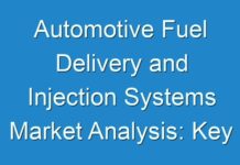 Automotive Fuel Delivery and Injection Systems Market Analysis: Key Player profile, Size, Share, Trends, Demand and Regional Outlook by 2024