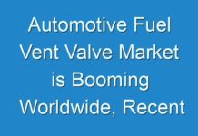 Automotive Fuel Vent Valve Market is Booming Worldwide, Recent Trends, Future Forecasts, Growth Rate Analysis 2024 – 2026