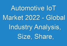 Automotive IoT Market 2024 – Global Industry Analysis, Size, Share, Growth Trends