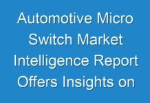 Automotive Micro Switch Market Intelligence Report Offers Insights on Growth Prospects 2024–2030