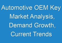 Automotive OEM Key Market Analysis, Demand Growth, Current Trends