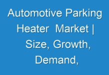 Automotive Parking Heater Market | Size, Growth, Demand, Opportunities and Forecast To 2024-2030